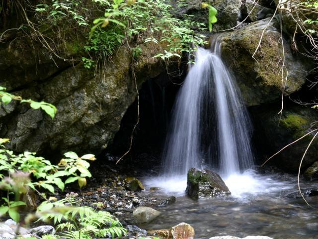 永恒之光